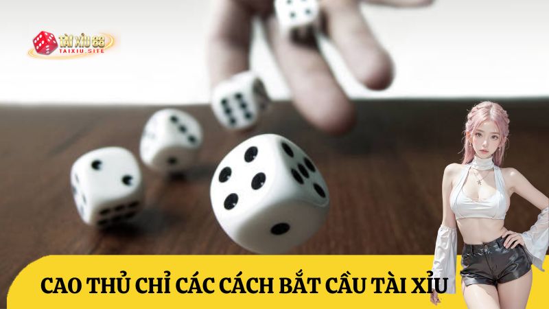 Cách Bắt Cầu Tài Xỉu Online: Bí Kíp Chiến Thắng Từ Cao Thủ 4 Cách Bắt Cầu Tài Xỉu Online: Bí Kíp Chiến Thắng Từ Cao Thủ image-1731637724700