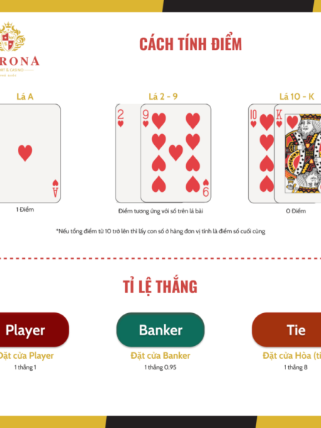 Cách Chơi Bài Cào: Hướng Dẫn Chi Tiết Cho Người Mới Bắt Đầu