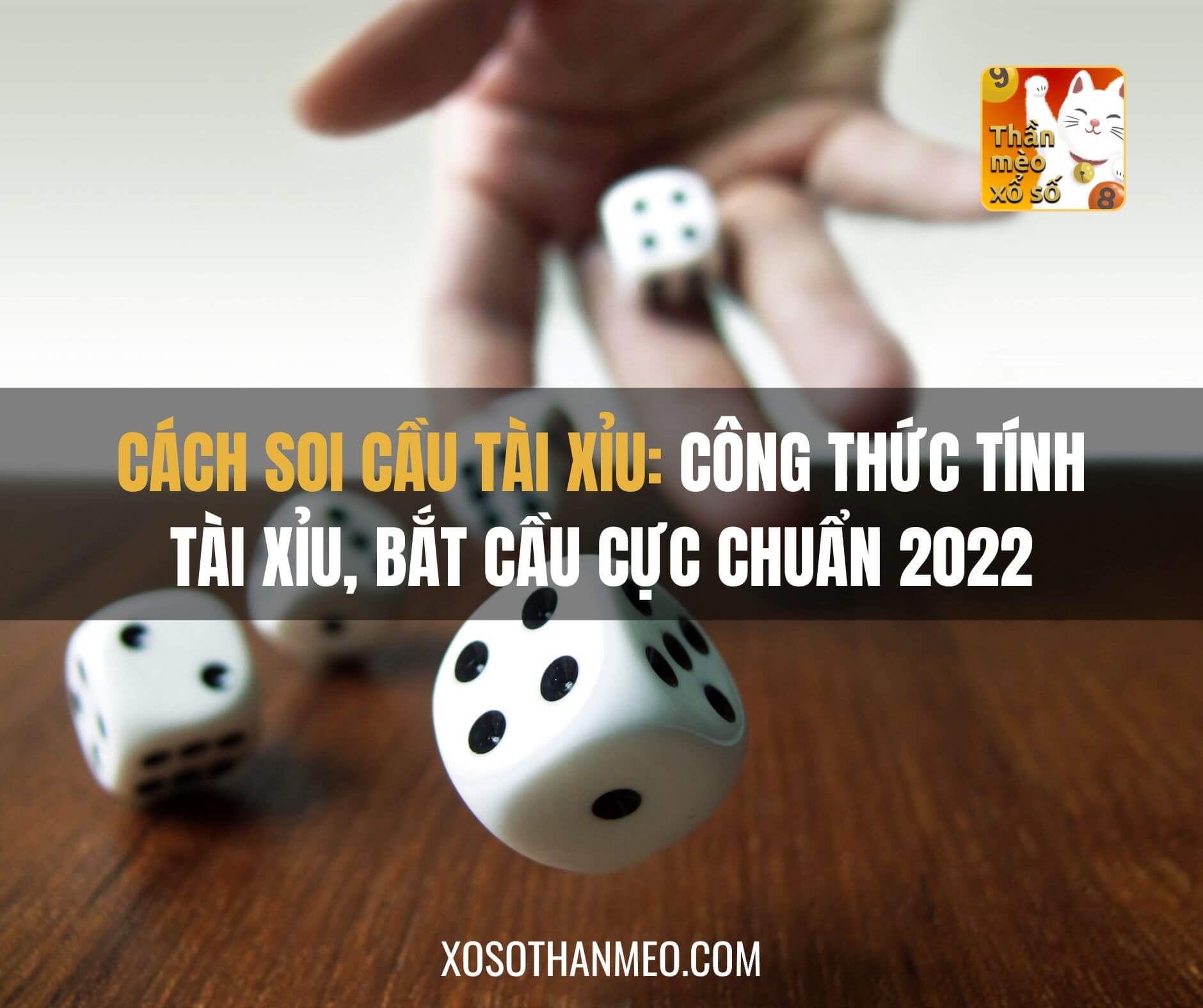 Cách Chơi Tài Xỉu: Hướng Dẫn Chi Tiết Cho Người Mới Bắt Đầu 5 Cách Chơi Tài Xỉu: Hướng Dẫn Chi Tiết Cho Người Mới Bắt Đầu image-1731638996400