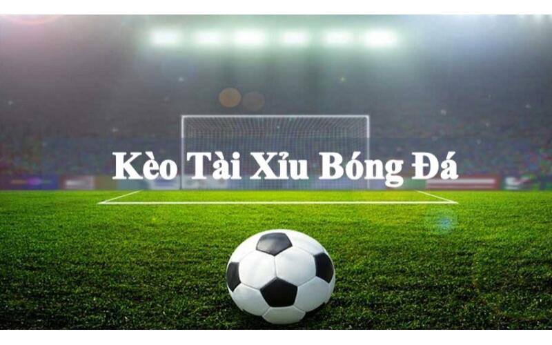 Cách Đánh Tài Xỉu Hiệp 1: Bí Kíp Chiến Thắng Từ Cao Thủ 5 Cách Đánh Tài Xỉu Hiệp 1: Bí Kíp Chiến Thắng Từ Cao Thủ image-1731637507335