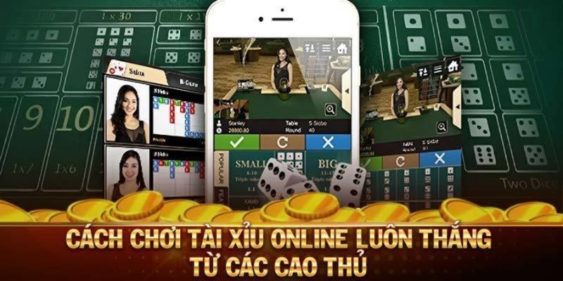Cách Kiếm Tiền Từ Game Tài Xỉu: Bí Mật Từ Cao Thủ 7 Cách Kiếm Tiền Từ Game Tài Xỉu: Bí Mật Từ Cao Thủ image-1731639196043