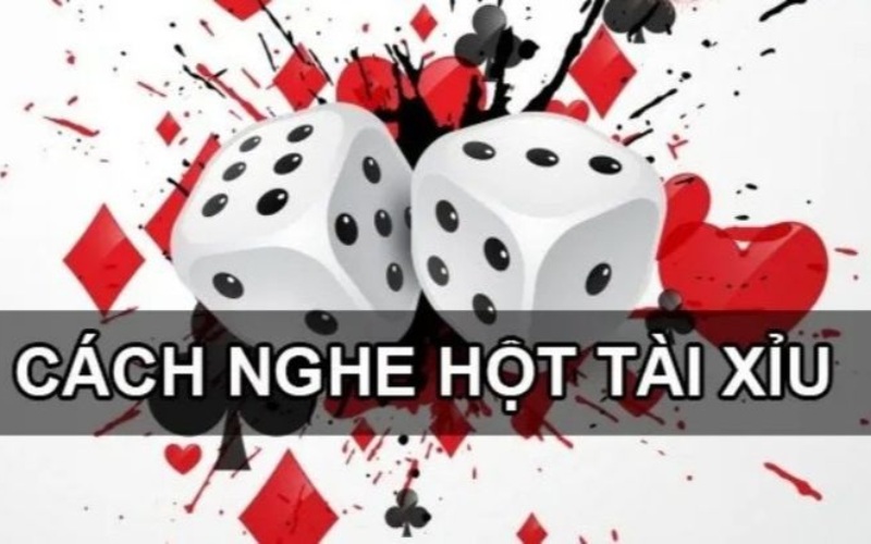 Chỉ Cách Nghe Hột Tài Xỉu Chuẩn Nhất, Dễ Hiểu Nhất! 4 Chỉ Cách Nghe Hột Tài Xỉu Chuẩn Nhất, Dễ Hiểu Nhất! image-1731640500417