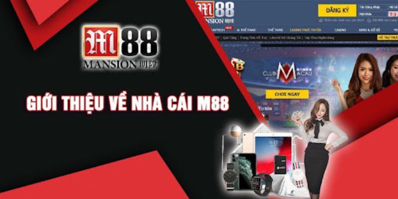 M88 - Nhà cái cá cược hàng đầu với hàng triệu người chơi 6 m88